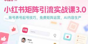 (15406期)小红书矩阵引流实战课3.0:账号养号起号技巧,免裴矩阵运营,AI内容生产-中创网_分享创业项目_助您在家赚钱