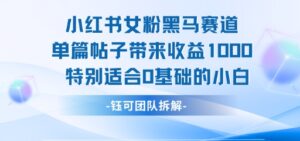 小红书女粉黑马赛道单篇帖子带来收益1k+，特别适合0基础的小白-中创网_分享创业项目_助您在家赚钱