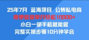 25年7月蓝海项目，公转私电商，随便做做单月轻松1w，小白一部手机就能做，完整实操步骤10分钟学会-中创网_分享创业项目_助您在家赚钱