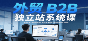 外贸B2B独立站系统课:底层逻辑/避坑指南/WP建站/AI辅助从0到1搭建高转化网站-中创网_分享创业项目_助您在家赚钱