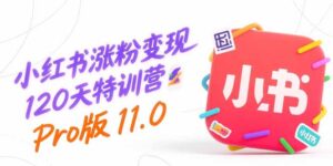 (15432期)小红书涨粉变现120天特训营Pro版11.0:从0到1掌握平台运营,内容制作和变现-中创网_分享创业项目_助您在家赚钱