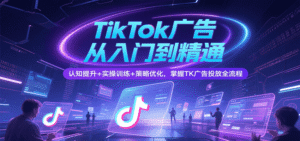 TikTok广告从入门到精通,认知提升+实操训练+策略优化,掌握TK广告投放全流程-中创网_分享创业项目_助您在家赚钱