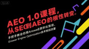 AEO 1.0 课程,从SEO到AE0的基命性转变,手把手教会你用AnswerEngineOptimization技术抢回流量-中创网_分享创业项目_助您在家赚钱