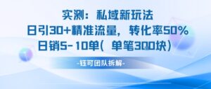 实测私域新玩法日引30加精准流量转化率50%日销5-10单每笔3张-中创网_分享创业项目_助您在家赚钱