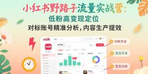 (15423期)小红书野路子流量实战营:低粉高变现定位 对标账号精准分析 内容生产提效-中创网_分享创业项目_助您在家赚钱