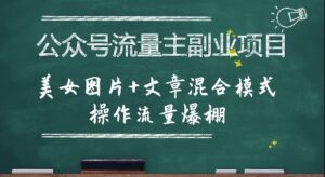 公众号流量主副业项目,美女图片+文章混合模式操作流量爆棚-中创网_分享创业项目_助您在家赚钱