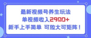 视频号养生玩法，单视频收入2.9k，新手上手简单-中创网_分享创业项目_助您在家赚钱