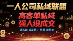 一人公司私域联盟,高客单私域,强人设成交,建私域 搞发售 广结盟 造势能-中创网_分享创业项目_助您在家赚钱