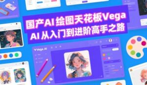 抖音蓝海车载U盘项目，低成本高利润保姆级教程，小白也能轻松月入过W-中创网_分享创业项目_助您在家赚钱