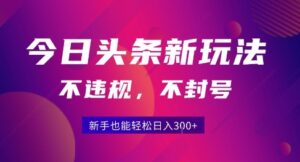 2025今日头条原创玩法5.0,不违规不封号,零门槛新手跟着做也能日入3张+-中创网_分享创业项目_助您在家赚钱