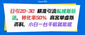 日引 20-30 精准引流私域新玩法,转化率50% 高客单虚拟资料,小白一台手机就能做-中创网_分享创业项目_助您在家赚钱