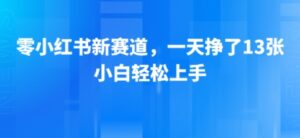 小红书新赛道，一天挣了13张，小白轻松上手-中创网_分享创业项目_助您在家赚钱