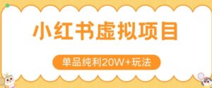 小红书卖虚拟产品,单品纯利20W+玩法分享,4节系列课程-中创网_分享创业项目_助您在家赚钱