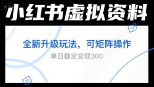 小红书虚拟资料全新升级玩法，可矩阵操作，单日稳定变现3张-中创网_分享创业项目_助您在家赚钱