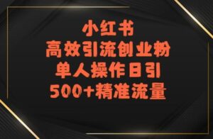 小红书高效引流创业粉,单人操作日引500+精准流量-中创网_分享创业项目_助您在家赚钱