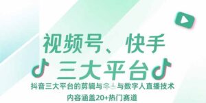 (15449期)视频号、快手、抖音三大平台的剪辑与数字人直播技术,内容涵盖20+热门赛道-中创网_分享创业项目_助您在家赚钱