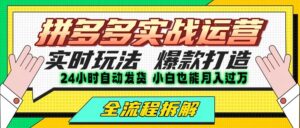 拼多多最新实战运营高投产:长久稳定项目,单店利润一天三位数-中创网_分享创业项目_助您在家赚钱