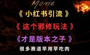 最近小红书引流这个邪修玩法才是版本之子,很多赛道早用早吃肉-中创网_分享创业项目_助您在家赚钱