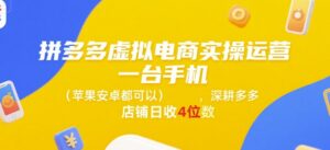 拼多多虚拟电商实操运营,一台手机(苹果安卓都可以),深耕多多店铺日收4位数-中创网_分享创业项目_助您在家赚钱