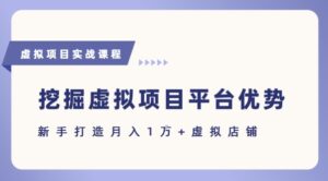 抓住虚拟项目各平台优势,新手轻松月入1W+(给出具体建议)-中创网_分享创业项目_助您在家赚钱