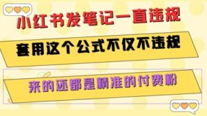 小红书发笔记一直违规,套用这个公式不仅不违规,来的还都是精准的付费粉-中创网_分享创业项目_助您在家赚钱