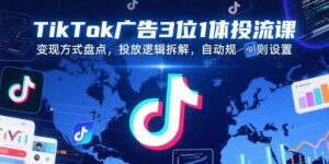 (15460期)TikTok广告3位1体投流课,变现方式盘点,投放逻辑拆解,自动规则设置-中创网_分享创业项目_助您在家赚钱