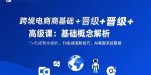 (15496期)跨境电商基础+晋级+高级课:基础概念解析,Tk私域涨粉技巧,AI客服系统搭建-中创网_分享创业项目_助您在家赚钱
