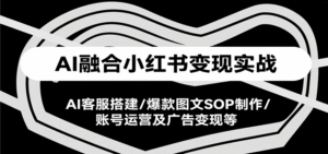 AI融合小红书变现实战课,AI客服搭建/爆款图文SOP制作/账号运营及广告变现等-中创网_分享创业项目_助您在家赚钱