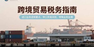(15381期)跨境贸易税务指南,进口业务退税要点,转口贸易风险,特殊业务处理-中创网_分享创业项目_助您在家赚钱