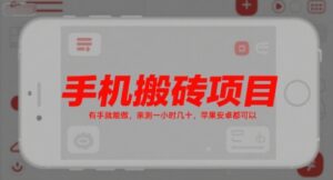 手机搬砖项目,有手就能做,亲测一小时几十,苹果安卓都可以-中创网_分享创业项目_助您在家赚钱