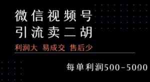 视频号卖二胡教程,利润大 易成交 售后少,一单利润5张+-中创网_分享创业项目_助您在家赚钱