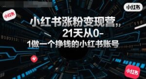 小红书涨粉变现营，21天从0-1做一个挣钱的小红书账号-中创网_分享创业项目_助您在家赚钱