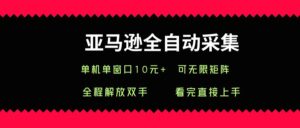 亚马逊全自动采集,单机单窗口一天10+,可无限矩阵去做-中创网_分享创业项目_助您在家赚钱