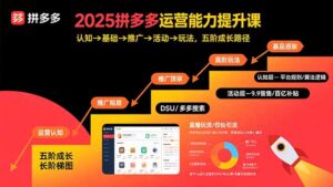 (15826期)2025拼多多运营能力提升课:认知→基础→推广→活动→玩法,五阶成长路径-中创网_分享创业项目_助您在家赚钱