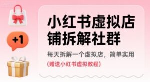 小红书虚拟店铺拆解社群,每天拆解一个虚拟店,简单实用(赠送小红书虚拟教程)-中创网_分享创业项目_助您在家赚钱