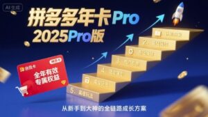 拼多多年卡2025Pro版,五大板块从认知到基础、从推广到活动、从活动到玩法-中创网_分享创业项目_助您在家赚钱