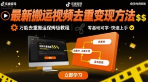 最新搬运视频去重变现方法,万能去重搬运保姆级教程-中创网_分享创业项目_助您在家赚钱