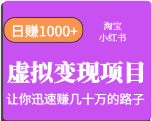 淘宝OR小红书虚拟变现，日赚1000+，多账号操作年收入几十W不等-中创网_分享创业项目_助您在家赚钱