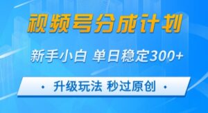 视频号分成计划5.0,升级玩法秒过原创,新手小白单日稳定变现3张-中创网_分享创业项目_助您在家赚钱