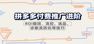 拼多多付费推广进阶,ROI提效、流控、选品、诊断及防坑等技巧-中创网_分享创业项目_助您在家赚钱