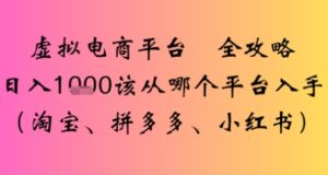 虚拟电商平台全攻略日入多张该从哪个平台入手-中创网_分享创业项目_助您在家赚钱