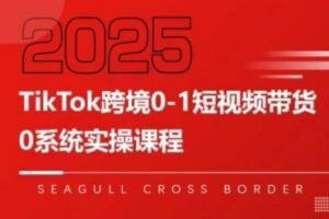 TikTok跨境0-1短视频带货,系统拆解TikTok跨境带货全链路,实现跨境可持续盈利-中创网_分享创业项目_助您在家赚钱