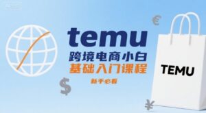 temu跨境电商小白基础入门课程，新手必看-中创网_分享创业项目_助您在家赚钱