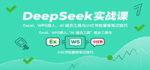 DeepSeek实战课:Excel、WPS接入、AI 组合工具与小红书批量做笔记技巧-中创网_分享创业项目_助您在家赚钱