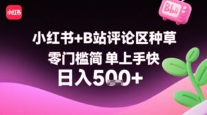 小红书+B站评论区种草,零门槛简单上手快 ,1分钟一单,只需复制粘贴评论就有钱-中创网_分享创业项目_助您在家赚钱