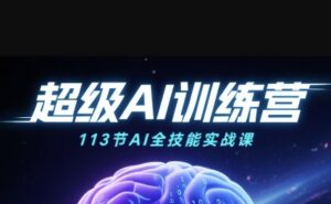 超级AI视频:绘画、带货、职场全场景113节通关课,解锁AI无限可能,开启精彩AI之旅-中创网_分享创业项目_助您在家赚钱
