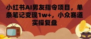 小红书AI男友指令项目,单条笔记变现1w+,小众赛道实操复盘-中创网_分享创业项目_助您在家赚钱