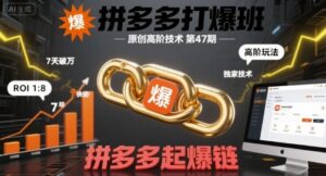 拼多多打爆班原创高阶技术第47期,拼多多起爆链-中创网_分享创业项目_助您在家赚钱