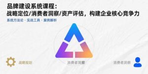 (15772期)品牌建设系统课程:战略定位/消费者洞察/资产评估,构建企业核心竞争力-中创网_分享创业项目_助您在家赚钱