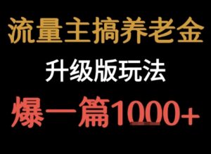 流量主之养老金升级版玩法  爆一篇收益1k+-中创网_分享创业项目_助您在家赚钱